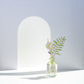 Bisque Pieni Onni Reed Diffuser - Lemongrass