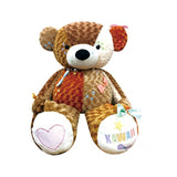 Take Off Kawaii Bear - Cholocate - XL