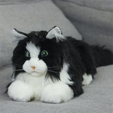 Elephant Robotics MetaCat Companion Robotic Pet - Bicolour Cat