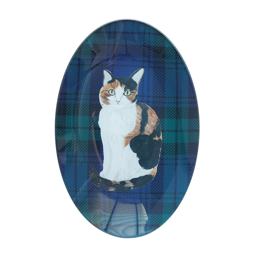 8MW Matsuo Miyuki Glass Oval Plate - Tabby