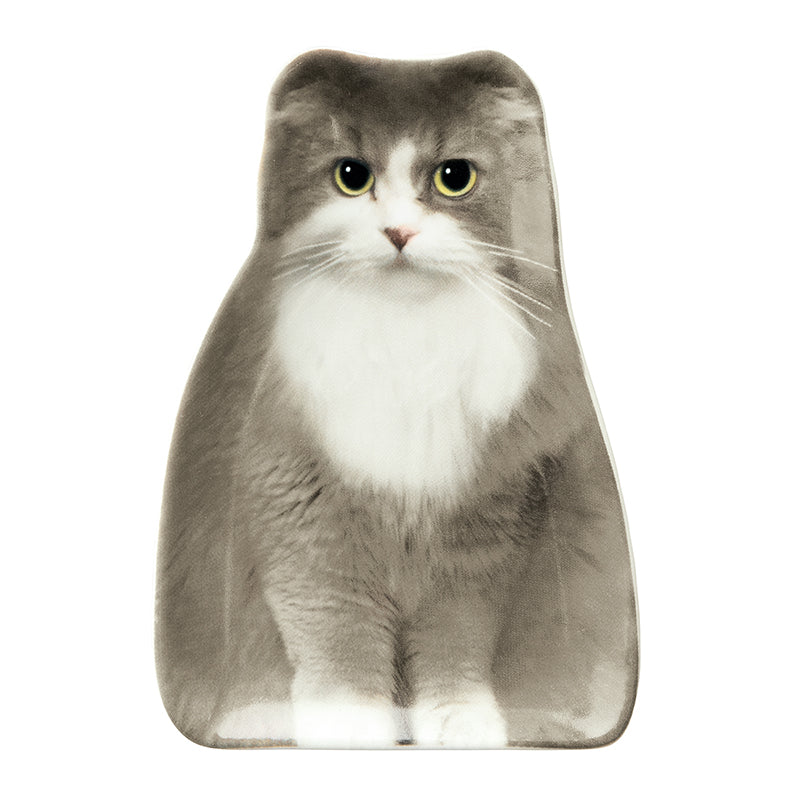 Decole Oh My Cats! - Realistic Cat Small Plate - Scottish Fold