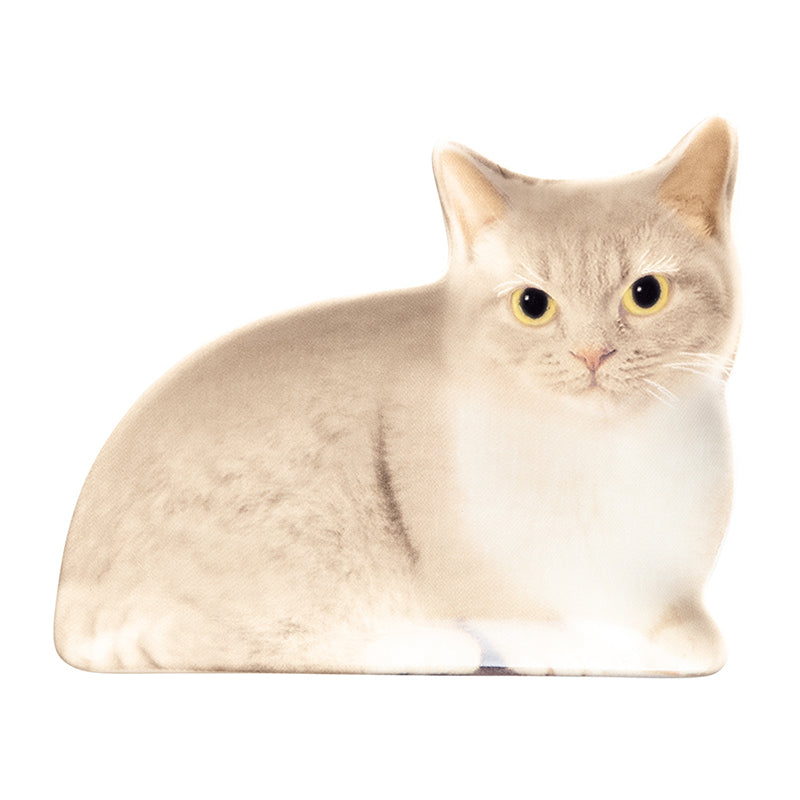 Decole Oh My Cats! - Realistic Cat Small Plate - Munchkin