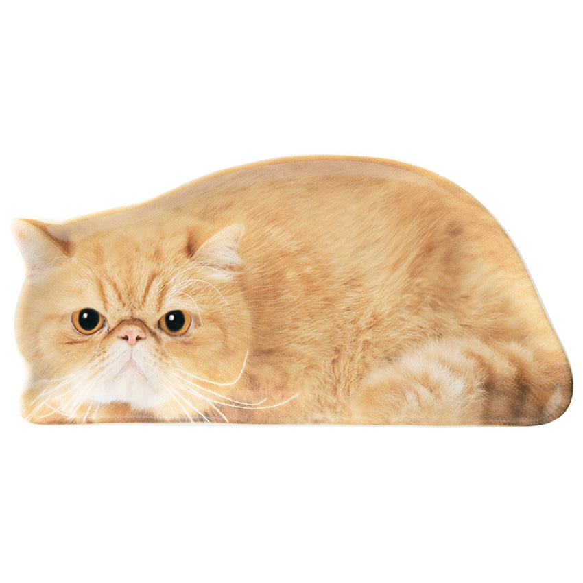 Decole Oh My Cats! - Realistic Cat Small Plate - Exotic Shorthair